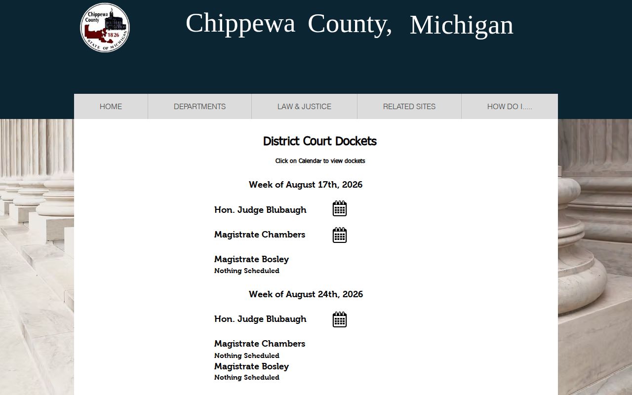 91st District Court docket for Chippewa County booking records